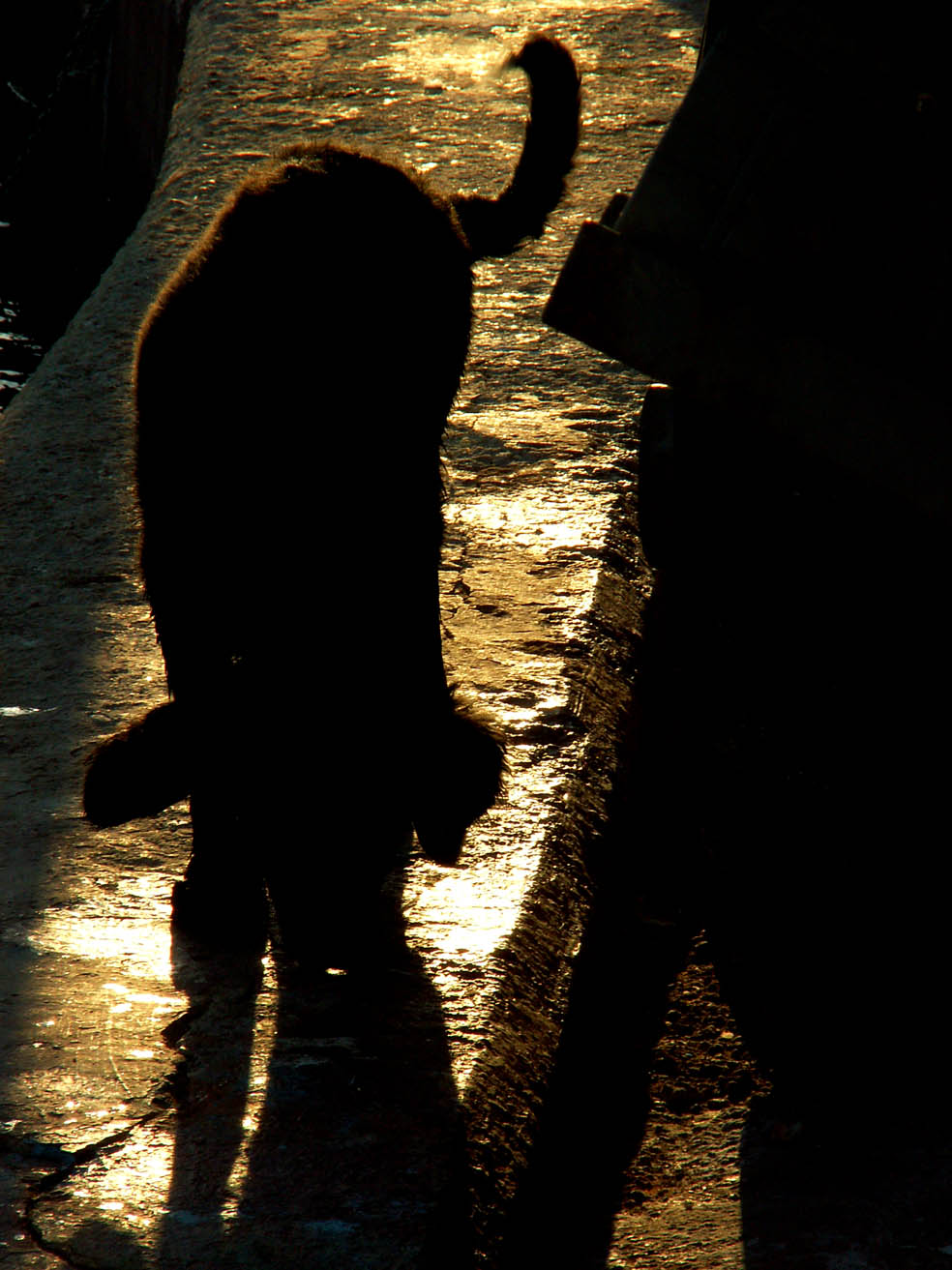 Photography by Ronbrandt for DesignCrowd (Community Contests) | Design #9064924