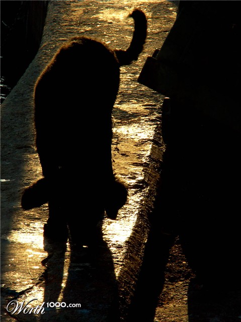 Photography by Ronbrandt