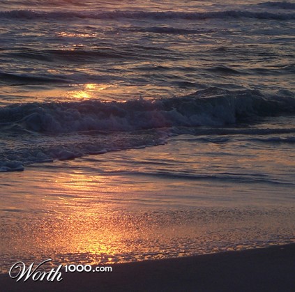 Photography by bamboy755