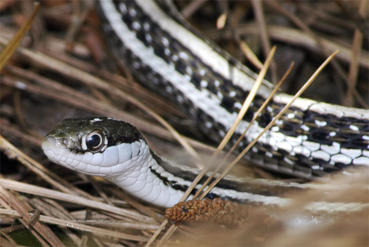 Photography by Fishcat for DesignCrowd (Community Contests) | Design #9088075