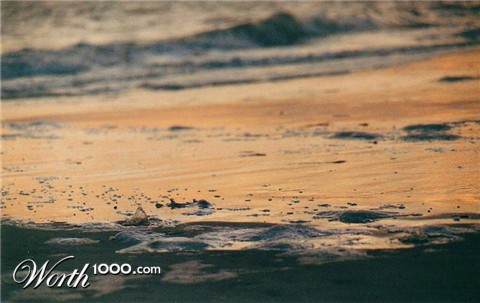 Photography by Barnaclese