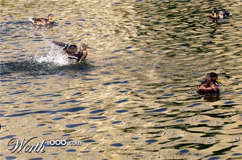 Photography by mzmzmzmz