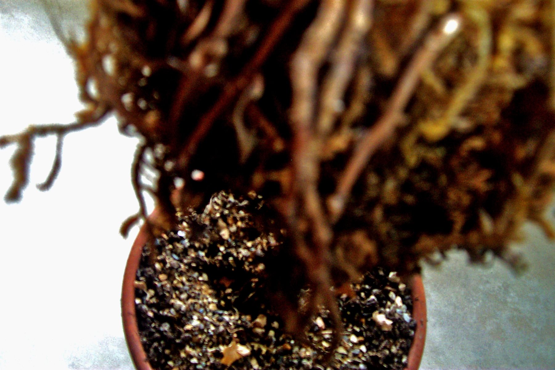 Fotografía por jasonbank para DesignCrowd (Community Contests) | Diseño #9088047