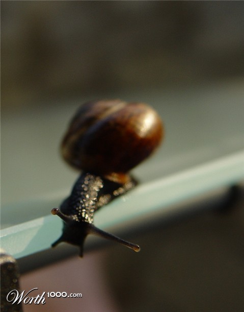Photography by klemmg