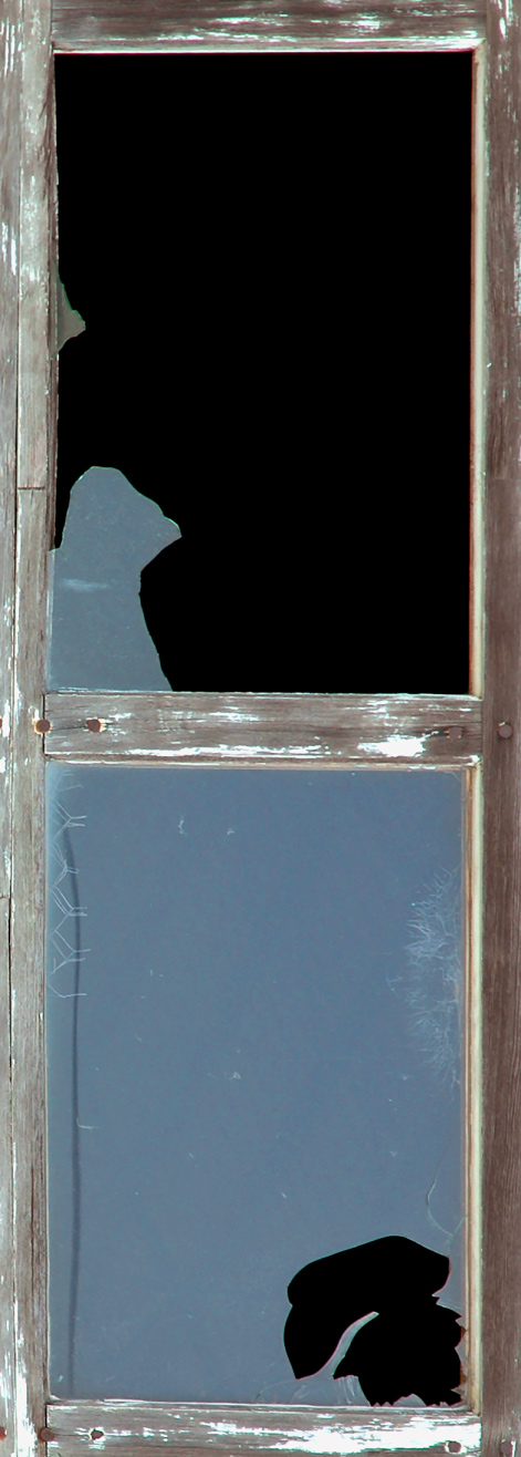 Photography by koalachimbo for DesignCrowd (Community Contests) | Design #9079805