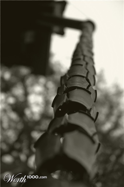 Photography by scottp80