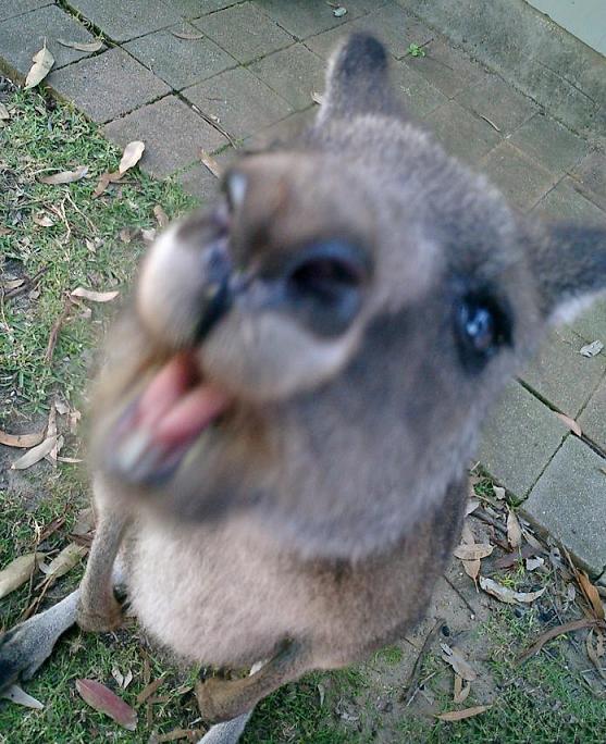 Photographie par Deanis pour DesignCrowd (Community Contests) | Design #9083508