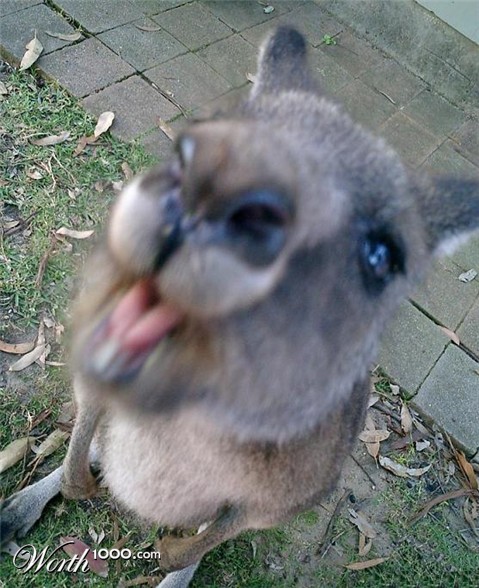 Photography by Deanis