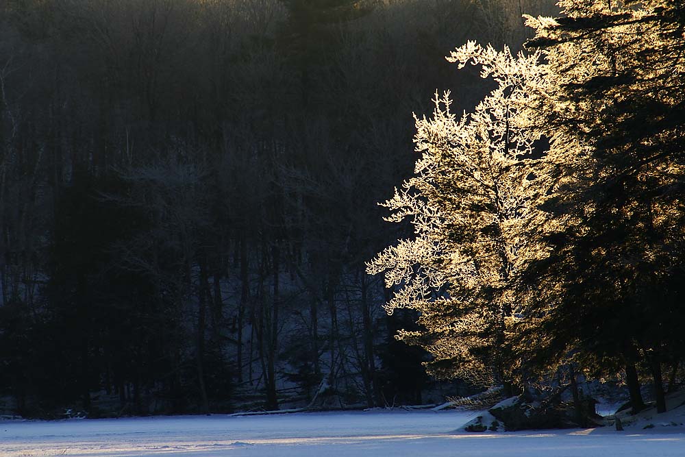 Photography by SigloV for DesignCrowd (Community Contests) | Design #9064962