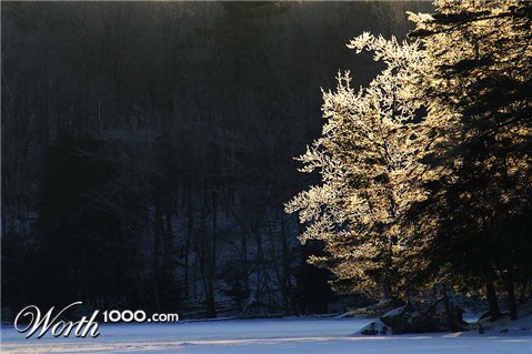 Photography by SigloV