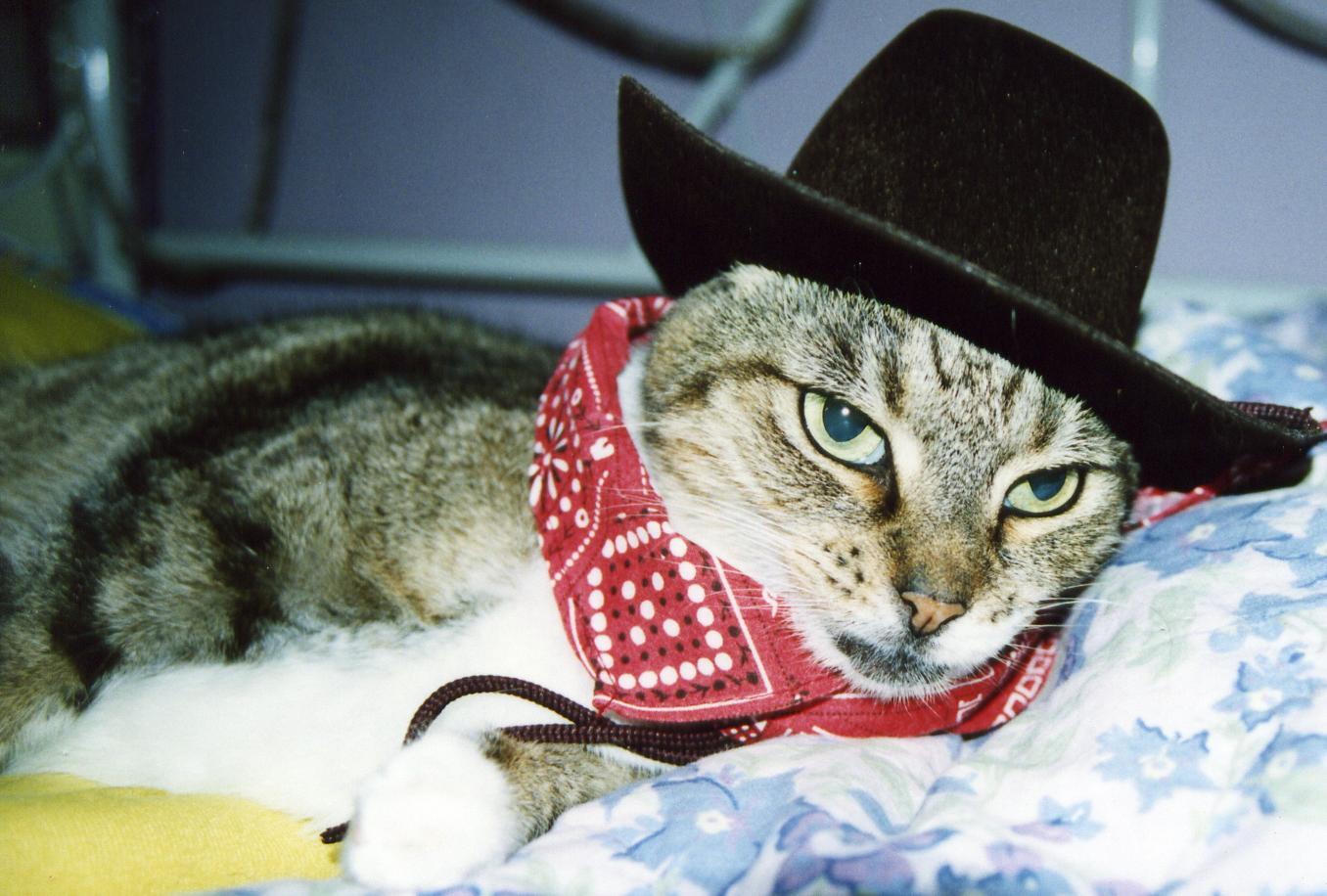 Photography by Larah McElroy for DesignCrowd (Community Contests) | Design #9083517