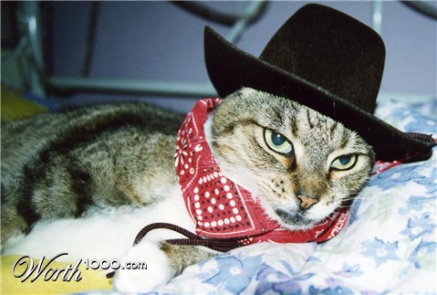 Photography by Larah McElroy