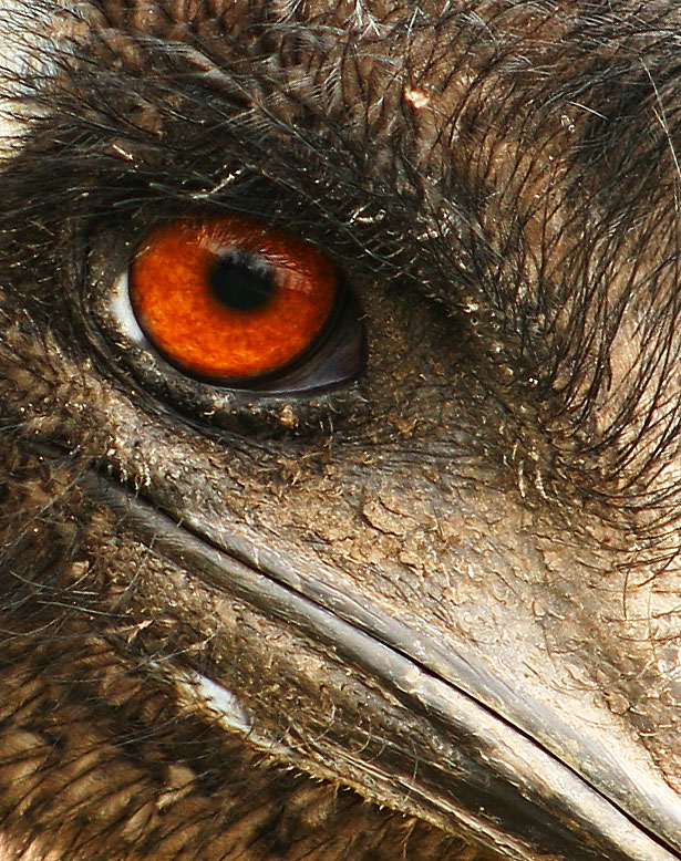 Photography by SigloV for DesignCrowd (Community Contests) | Design #9086978