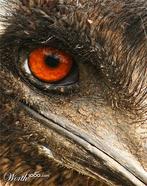 Photography by SigloV