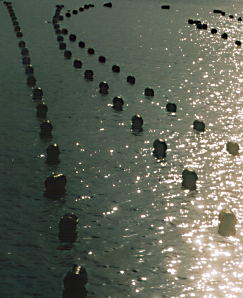 Photography by AsierReisa for DesignCrowd (Community Contests) | Design #9064981