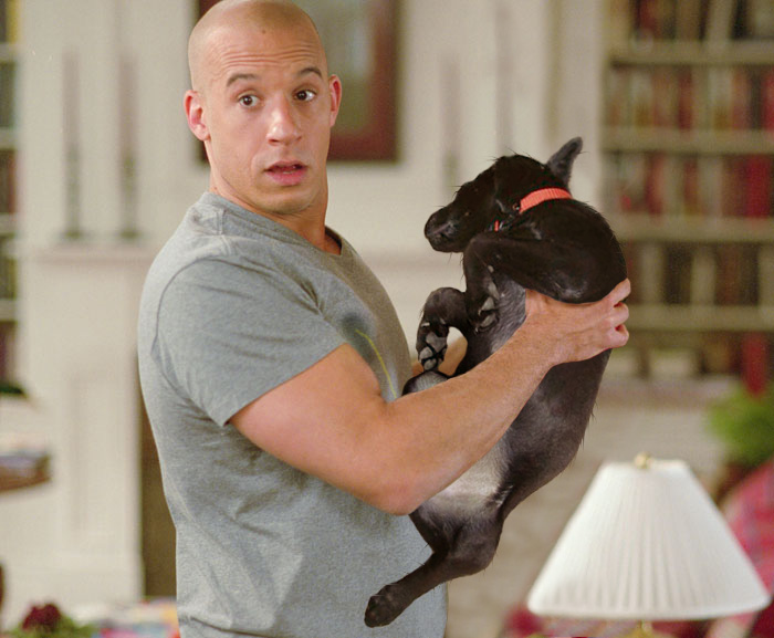 Photoshop-Design von godzillatemple für DesignCrowd (Community Contests) | Design #9080157