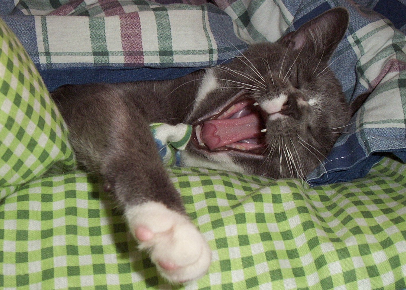 Photography by KCBroadway for DesignCrowd (Community Contests) | Design #9083552