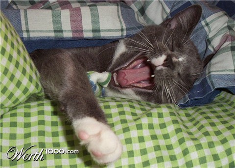 Photography by KCBroadway