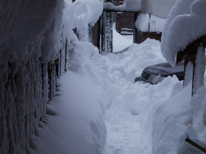 Photography by Pelican for DesignCrowd (Community Contests) | Design #9067782