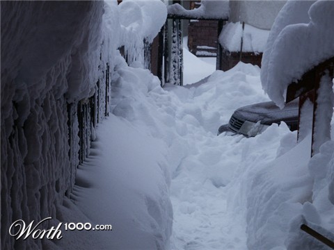 Photography by Pelican