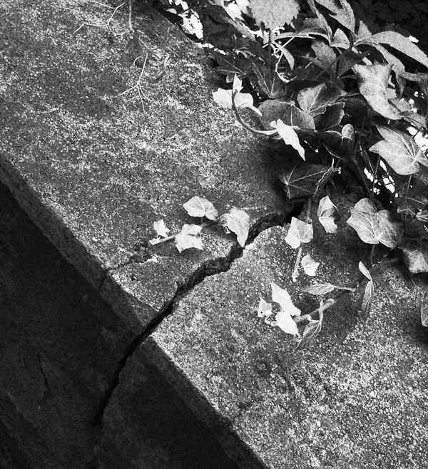 Photography by kremsersenf for DesignCrowd (Community Contests) | Design #9067777