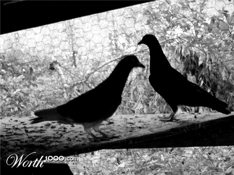 Photography by Scuzem