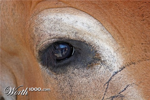 Photography by jiwasz