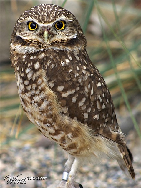 Photography by borbor