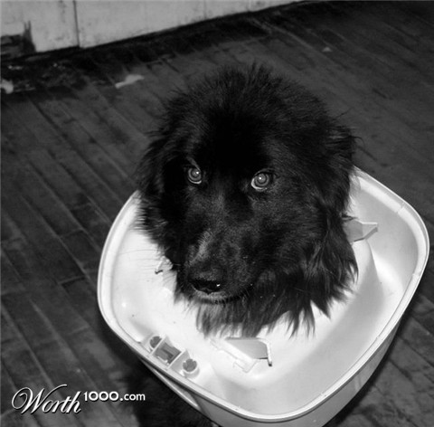 Photography by MrsFuzzButt