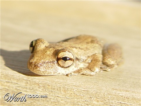 Photography by klemmg