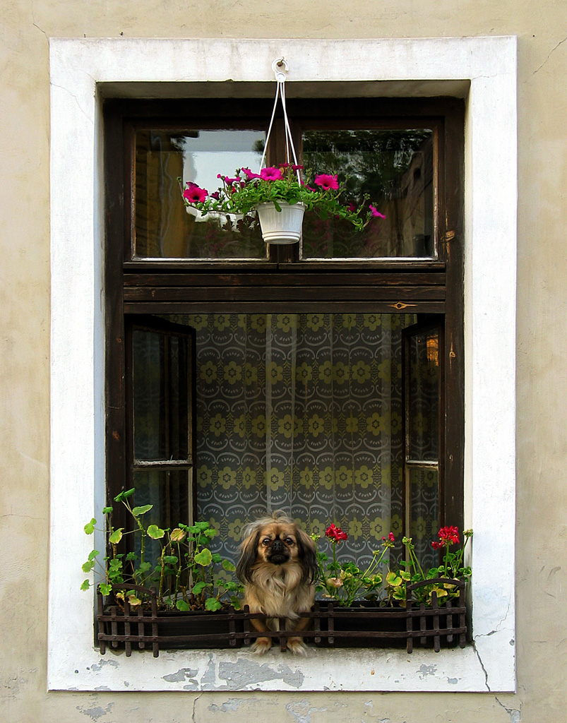 Photography by molusco for DesignCrowd (Community Contests) | Design #9083539