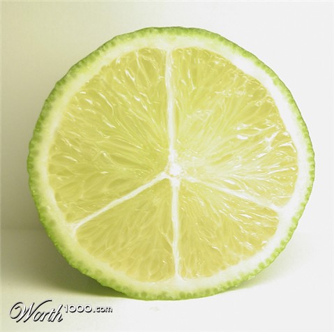 Photoshop Design by Dziedzic