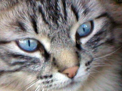 Photography by ShooterSue for DesignCrowd (Community Contests) | Design #9087083