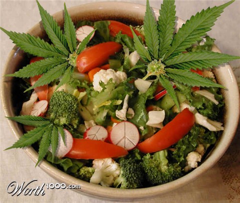 Photoshop Design by Kwyjibo78