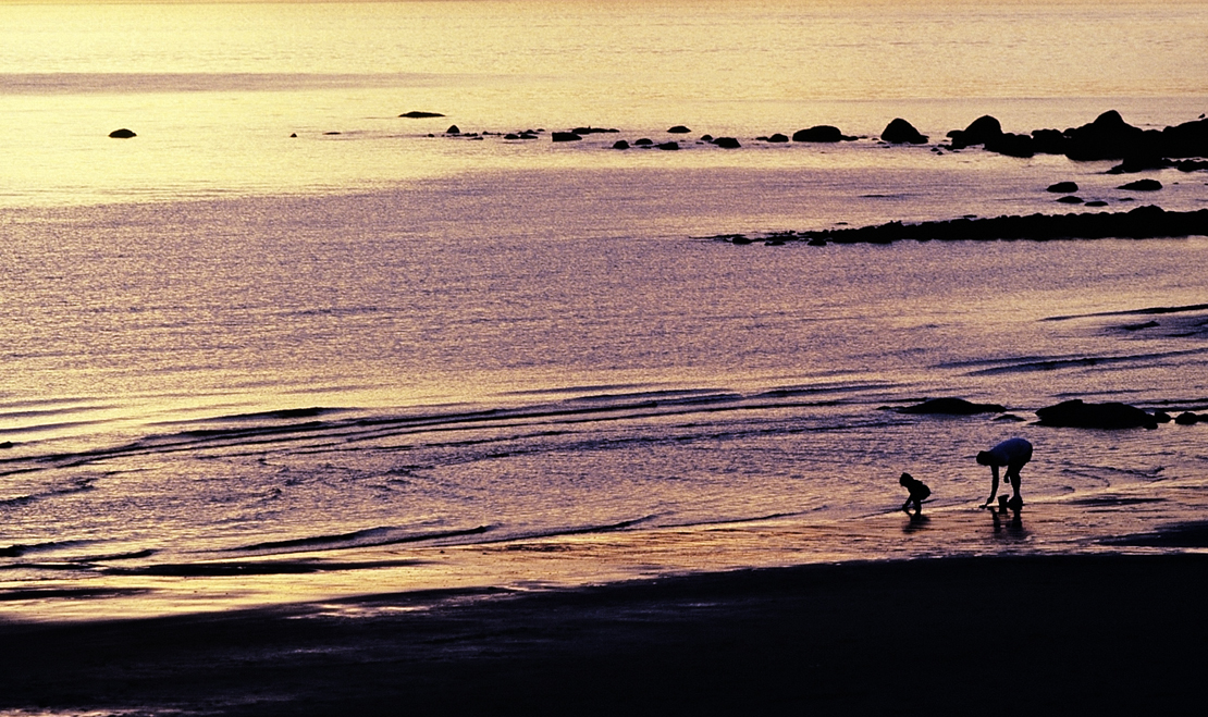 Photography by Malakaiii for DesignCrowd (Community Contests) | Design #9065007