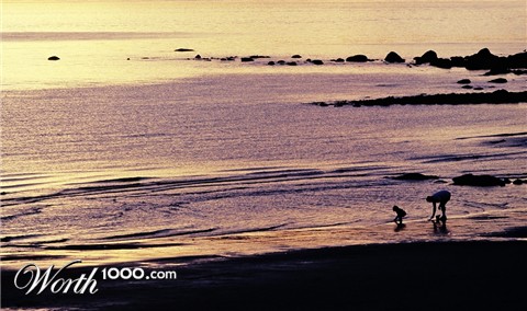 Photography by Malakaiii