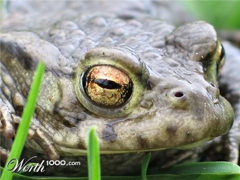 Photography by Alnath