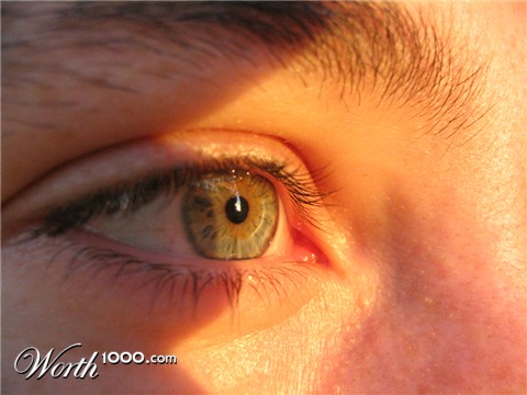 Photography by Piccinini