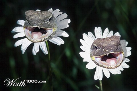 Photoshop Design by Deanis