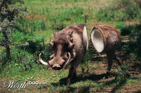 Photoshop Design by mcroyal