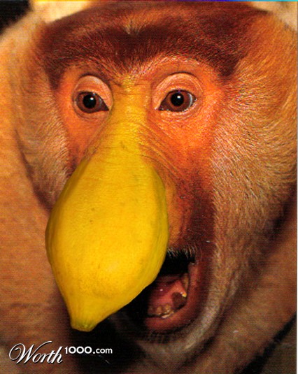 Photoshop Design by eminkey2003