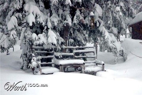 Photography by tigercrosse