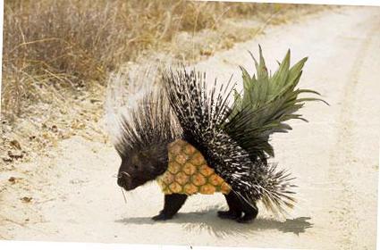 Photoshop Design by EnglishPete for DesignCrowd (Community Contests) | Design #9079927