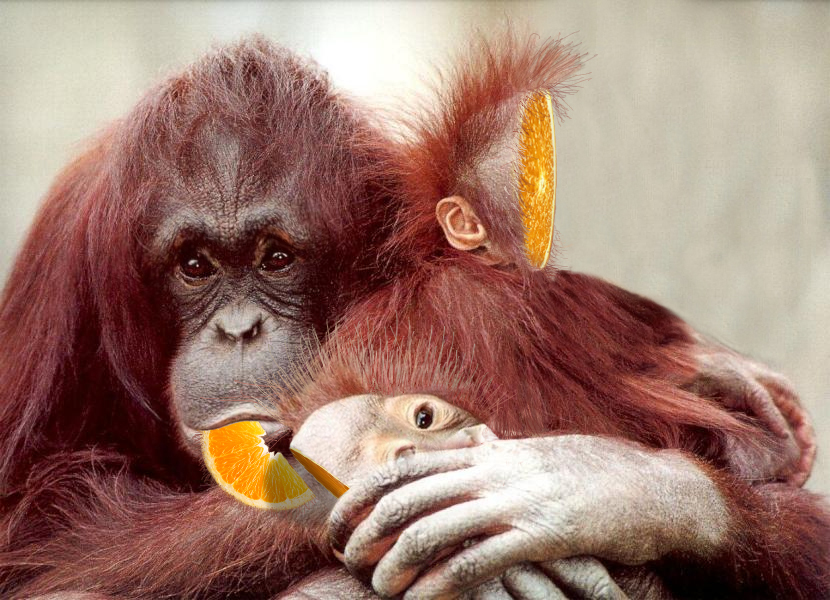 Photoshop-Design von jachang für DesignCrowd (Community Contests) | Design #9079914