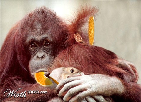 Photoshop Design by jachang