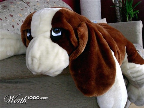 Photography by smilingface