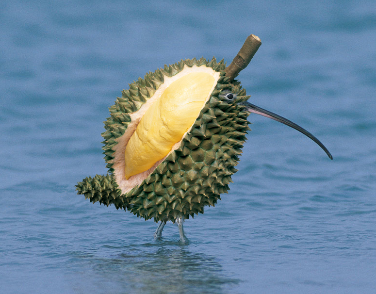 Photoshop-Design von msNicole für DesignCrowd (Community Contests) | Design #9079924