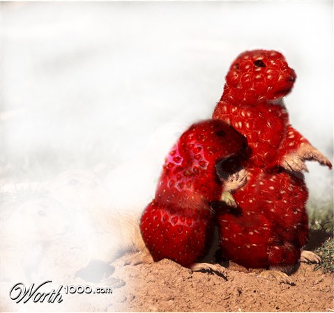 Photoshop Design by weaselgrater