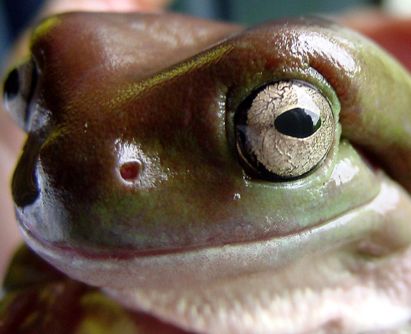 Photography by PaulC44446 for DesignCrowd (Community Contests) | Design #9087211