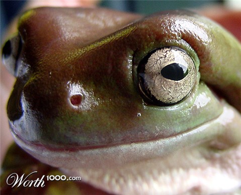 Photography by PaulC44446